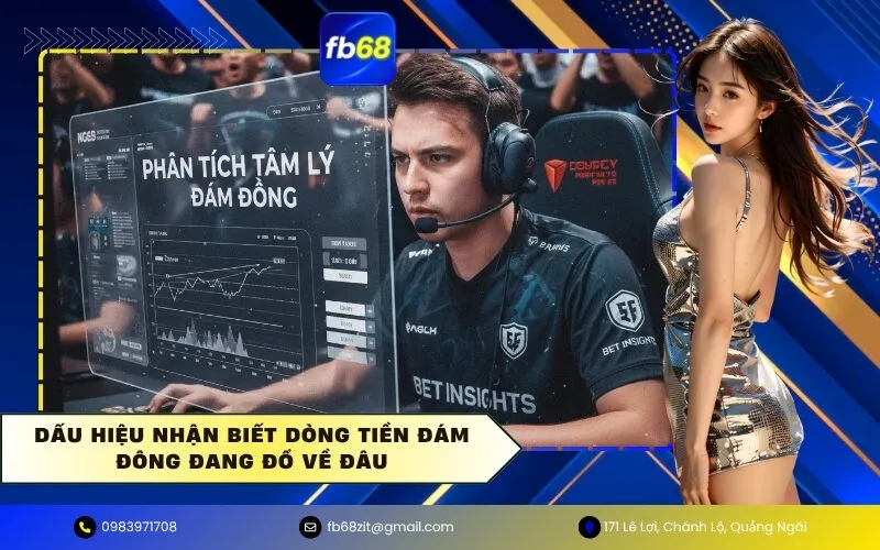 Dấu hiệu nhận biết dòng tiền đám đông đang đổ về đâu
